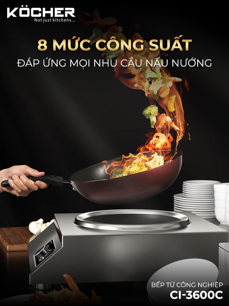 Bếp từ công nghiệp CI-3600C-6