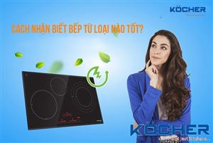 Nên Mua Bếp Từ Loại Nào Tốt Và Tiết Kiệm Điện Nhất Hiện Nay 2023?