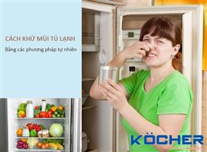 Cách khử mùi tủ lạnh lâu ngày không dùng