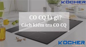 CO CQ là gì, cách kiểm tra COCQ đơn giản nhất