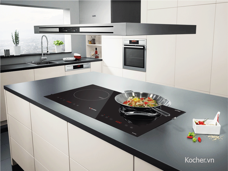 Bếp từ Việt Nam-1