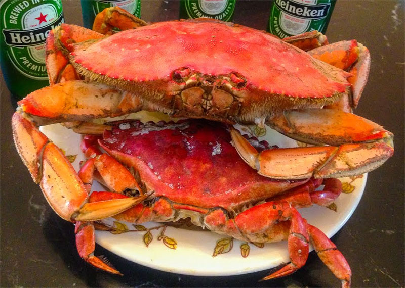 cách bảo quản cua biển chín