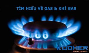 Khí Gas là gì? Khí Gas có mùi gì? Thành phần của Khí Gas