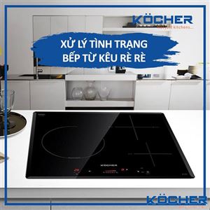 Bếp từ kêu to - Nguyên nhân và cách xử lý tại nhà