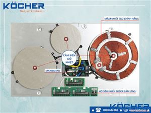 Cảm biến nhiệt bếp từ