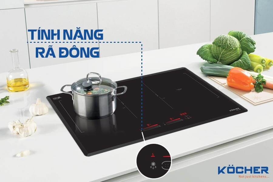 Afamily.vn - Chiếc bếp từ tích hợp tính năng rã đông và ủ ấm - trợ thủ giúp bà nội trợ Việt bớt đi sự mệt nhọc